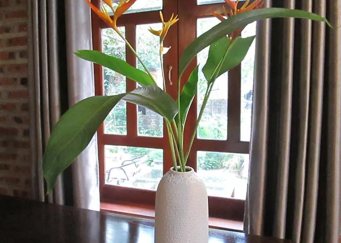 Ninh Binh Nature Homestay